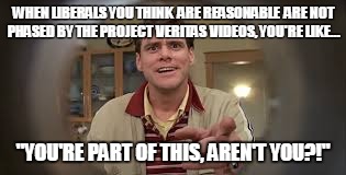 PROJECT VERITAS | WHEN LIBERALS YOU THINK  ARE REASONABLE  ARE NOT PHASED BY THE PROJECT  VERITAS  VIDEOS, YOU'RE LIKE... "YOU'RE PART OF THIS, AREN'T YOU?!" | image tagged in project veritas | made w/ Imgflip meme maker