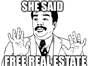 Neil deGrasse Tyson | SHE SAID; FREE REAL ESTATE | image tagged in memes,neil degrasse tyson | made w/ Imgflip meme maker