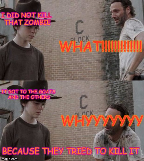 Rick and Carl Meme | I DID NOT KILL THAT ZOMBIE; WHAT!!!!!!!!!!!!! IT GOT TO THE GOATS AND THE OTHERS; WHYYYYYYY; BECAUSE THEY TRIED TO KILL IT | image tagged in memes,rick and carl | made w/ Imgflip meme maker