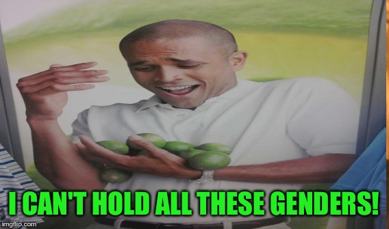 I CAN'T HOLD ALL THESE GENDERS! | made w/ Imgflip meme maker