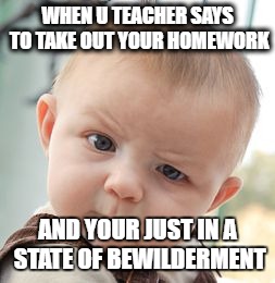 Skeptical Baby | WHEN U TEACHER SAYS TO TAKE OUT YOUR HOMEWORK; AND YOUR JUST IN A STATE OF BEWILDERMENT | image tagged in memes,skeptical baby | made w/ Imgflip meme maker