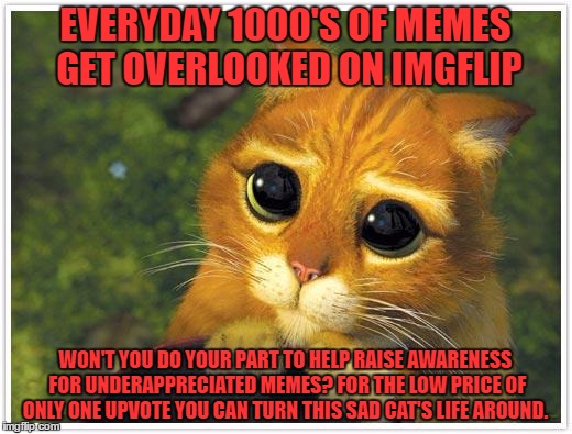 CUE THE MUSIC (In the arms of the angel,Fly away from here
From this dark, cold hotel room
And the endlessness that you fear) | EVERYDAY 1000'S OF MEMES GET OVERLOOKED ON IMGFLIP; WON'T YOU DO YOUR PART TO HELP RAISE AWARENESS FOR UNDERAPPRECIATED MEMES? FOR THE LOW PRICE OF ONLY ONE UPVOTE YOU CAN TURN THIS SAD CAT'S LIFE AROUND. | image tagged in memes,shrek cat,aspca commercials get me every time | made w/ Imgflip meme maker