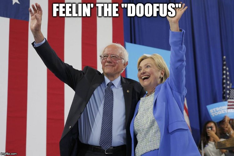 Bernie | FEELIN' THE "DOOFUS" | image tagged in feel the bern | made w/ Imgflip meme maker