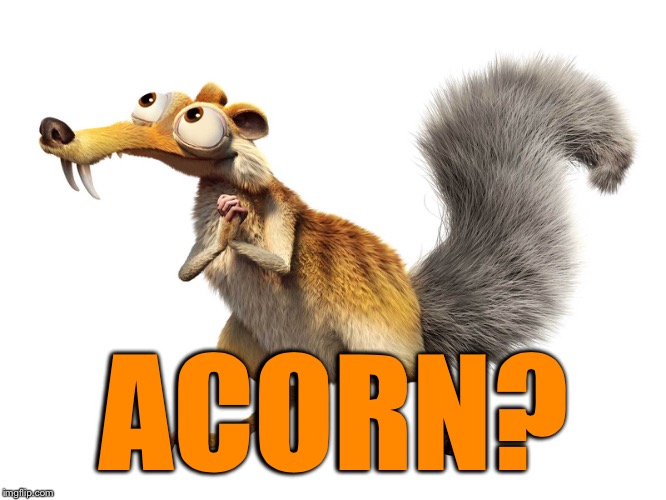 ACORN? | made w/ Imgflip meme maker