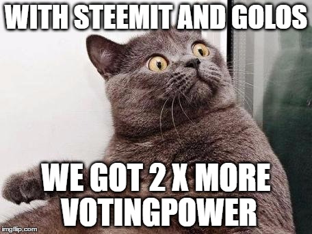 Surprised cat | WITH STEEMIT AND GOLOS; WE GOT 2 X MORE VOTINGPOWER | image tagged in surprised cat | made w/ Imgflip meme maker