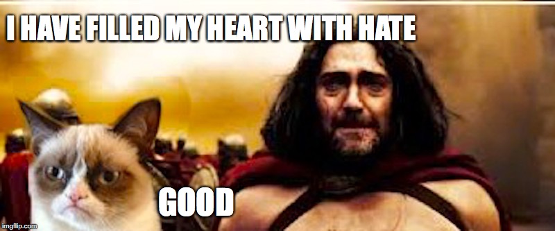 Grumpy Spartan Cat | I HAVE FILLED MY HEART WITH HATE; GOOD | image tagged in 300,spartans | made w/ Imgflip meme maker