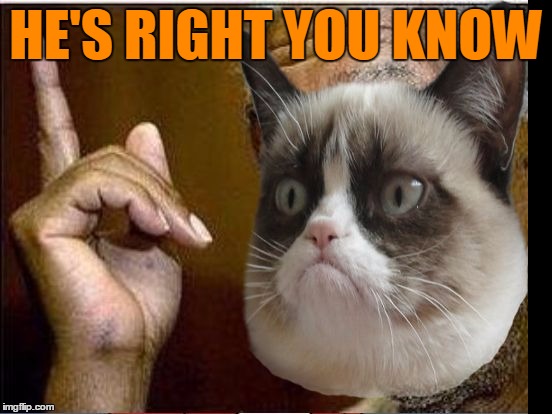 Grumpy Cat He's Right You Know | HE'S RIGHT YOU KNOW | image tagged in grumpy cat he's right you know | made w/ Imgflip meme maker