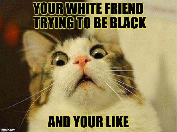 Scared Cat Meme | YOUR WHITE FRIEND TRYING TO BE BLACK; AND YOUR LIKE | image tagged in memes,scared cat | made w/ Imgflip meme maker