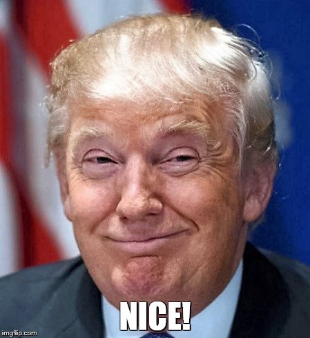 NICE! | image tagged in donald trump | made w/ Imgflip meme maker