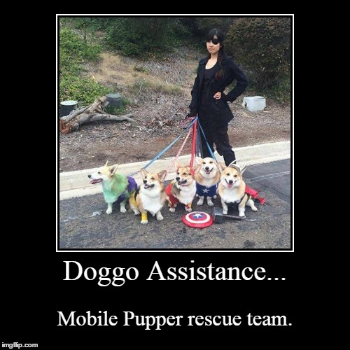 Doggo Assistance | image tagged in funny,demotivationals,memes,dog | made w/ Imgflip demotivational maker