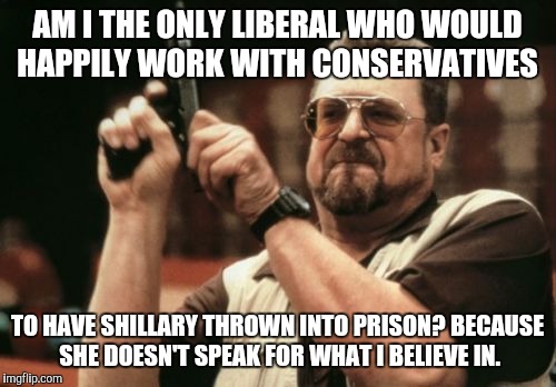 Am I The Only One Around Here Meme | AM I THE ONLY LIBERAL WHO WOULD HAPPILY WORK WITH CONSERVATIVES; TO HAVE SHILLARY THROWN INTO PRISON? BECAUSE SHE DOESN'T SPEAK FOR WHAT I BELIEVE IN. | image tagged in memes,am i the only one around here | made w/ Imgflip meme maker