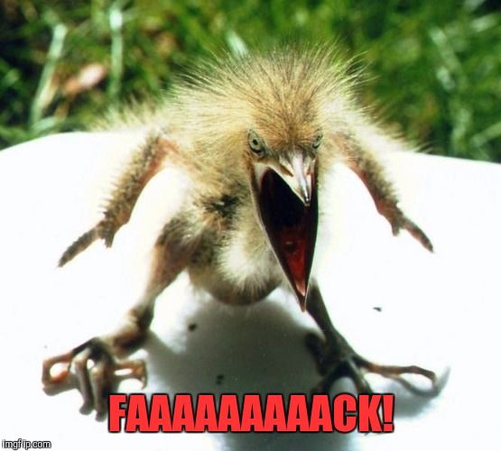 Angry bird | FAAAAAAAAACK! | image tagged in angry bird | made w/ Imgflip meme maker