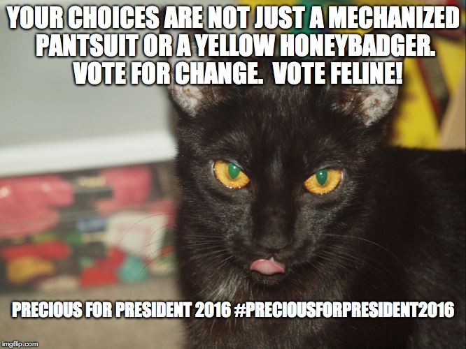 YOUR CHOICES ARE NOT JUST A MECHANIZED PANTSUIT OR A YELLOW HONEYBADGER.  VOTE FOR CHANGE.  VOTE FELINE! PRECIOUS FOR PRESIDENT 2016
#PRECIOUSFORPRESIDENT2016 | image tagged in precious | made w/ Imgflip meme maker