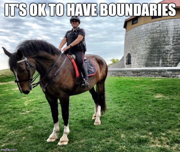 Murney | IT'S OK TO HAVE BOUNDARIES | image tagged in karma,horses | made w/ Imgflip meme maker