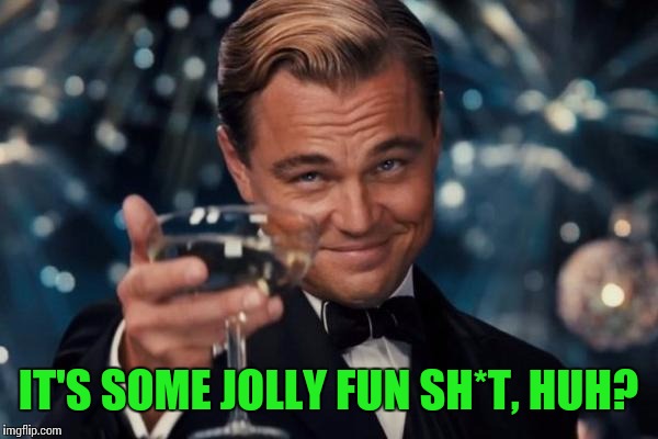 Leonardo Dicaprio Cheers Meme | IT'S SOME JOLLY FUN SH*T, HUH? | image tagged in memes,leonardo dicaprio cheers | made w/ Imgflip meme maker