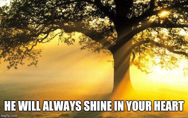 nature |  HE WILL ALWAYS SHINE IN YOUR HEART | image tagged in nature | made w/ Imgflip meme maker