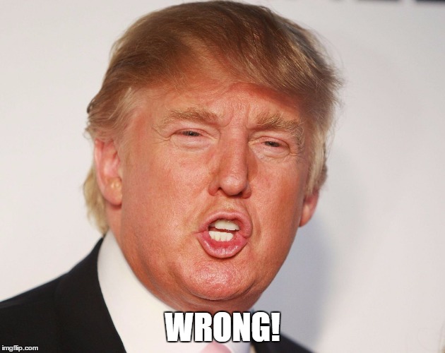 Donald Trump | WRONG! | image tagged in donald trump | made w/ Imgflip meme maker