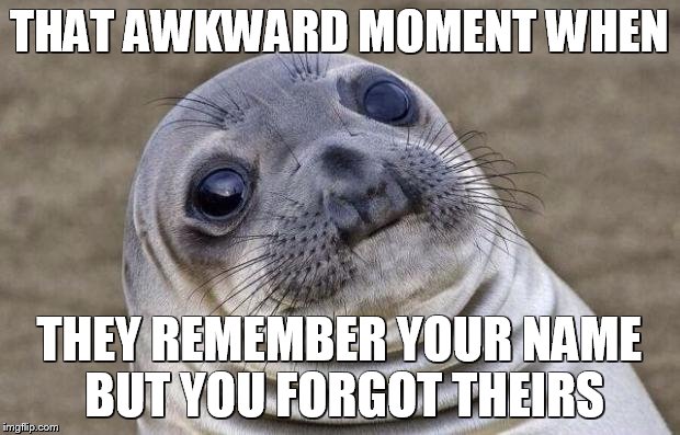Names Are Complicated | THAT AWKWARD MOMENT WHEN; THEY REMEMBER YOUR NAME BUT YOU FORGOT THEIRS | image tagged in memes,awkward moment sealion | made w/ Imgflip meme maker