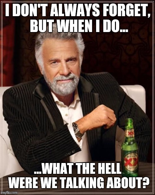 The Most Interesting Man In The World | I DON'T ALWAYS FORGET, BUT WHEN I DO... ...WHAT THE HELL WERE WE TALKING ABOUT? | image tagged in memes,the most interesting man in the world | made w/ Imgflip meme maker