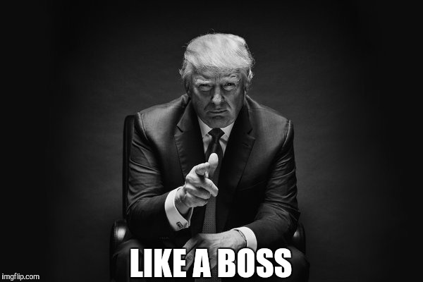 Donald Trump Thug Life | LIKE A BOSS | image tagged in donald trump thug life | made w/ Imgflip meme maker