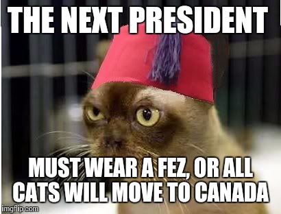 Cat_with_fez | THE NEXT PRESIDENT; MUST WEAR A FEZ, OR ALL CATS WILL MOVE TO CANADA | image tagged in cat_with_fez | made w/ Imgflip meme maker