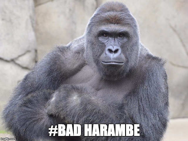 harambe | #BAD HARAMBE | image tagged in harambe | made w/ Imgflip meme maker