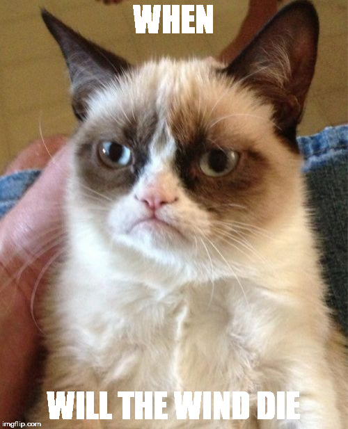 Grumpy Cat Meme | WHEN WILL THE WIND DIE | image tagged in memes,grumpy cat | made w/ Imgflip meme maker