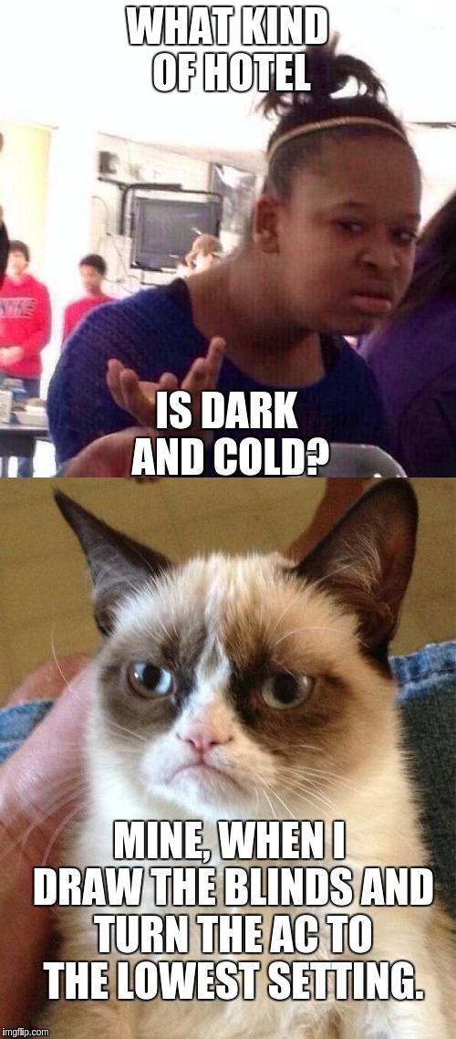 WHAT KIND OF HOTEL IS DARK AND COLD? MINE, WHEN I DRAW THE BLINDS AND TURN THE AC TO THE LOWEST SETTING. | made w/ Imgflip meme maker