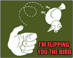 I'M FLIPPING YOU THE BIRD | made w/ Imgflip meme maker