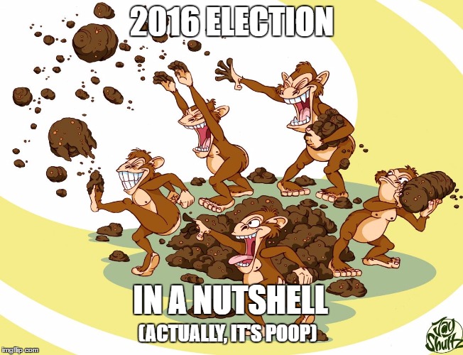 SHIT! | 2016 ELECTION; IN A NUTSHELL; (ACTUALLY, IT'S POOP) | image tagged in shit | made w/ Imgflip meme maker
