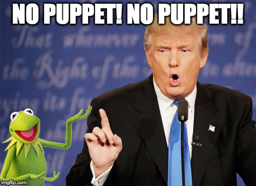 No Puppet! | NO PUPPET! NO PUPPET!! | image tagged in funny,donald trump,kermit the frog | made w/ Imgflip meme maker
