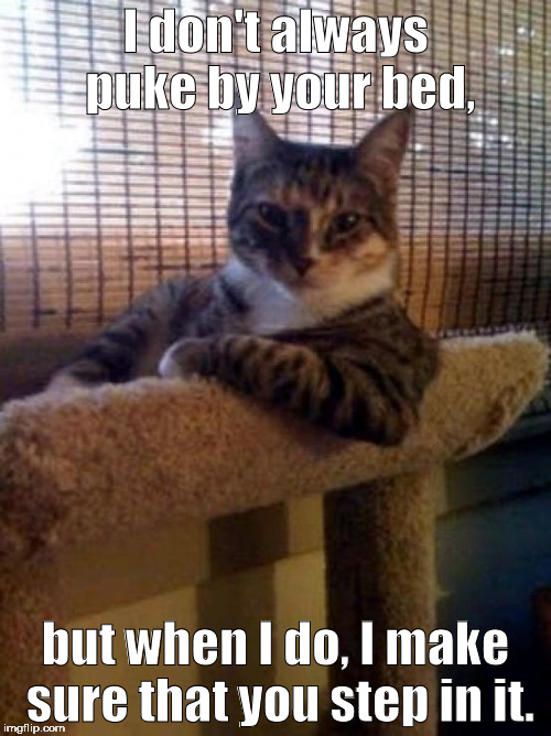 ¡Hörkÿ bärfÿ pükëÿ kïttÿ! | I don't always puke by your bed, but when I do, I make sure that you step in it. | image tagged in memes,the most interesting cat in the world | made w/ Imgflip meme maker