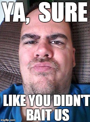 Scowl | YA,  SURE LIKE YOU DIDN'T BAIT US | image tagged in scowl | made w/ Imgflip meme maker