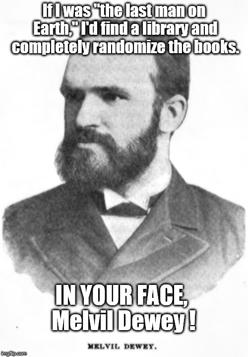 In your face | If I was "the last man on Earth," I'd find a library and completely randomize the books. IN YOUR FACE, Melvil Dewey ! | image tagged in library | made w/ Imgflip meme maker