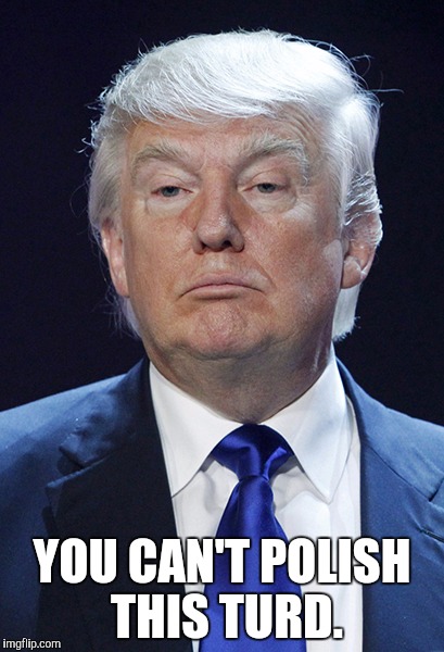 Debate 3, my favorite line of the night! | YOU CAN'T POLISH THIS TURD. | image tagged in donald trump,turd | made w/ Imgflip meme maker