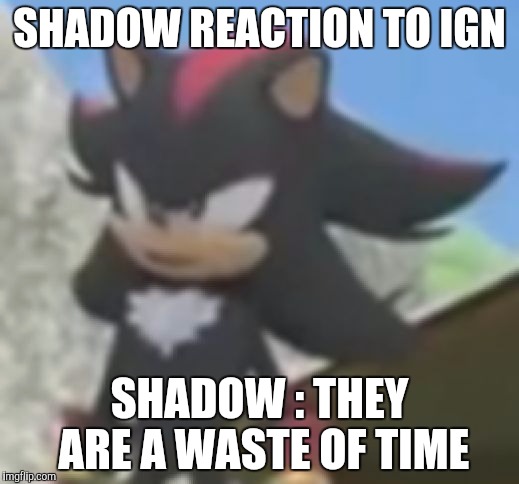 Shadow Allergic to Bullshit | SHADOW REACTION TO IGN; SHADOW : THEY ARE A WASTE OF TIME | image tagged in shadow allergic to bullshit | made w/ Imgflip meme maker