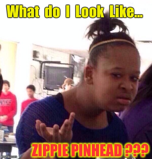 ZIPPI PINHEAD  | What  do  I  Look  Like... ZIPPIE PINHEAD ??? | image tagged in memes,black girl wat,zippi pinhead,what do i look like,what do you take me for | made w/ Imgflip meme maker