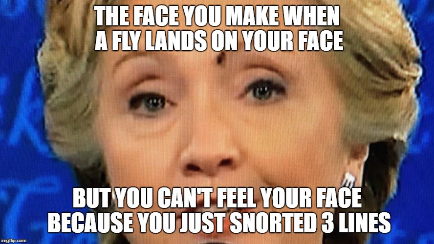 THE FACE YOU MAKE WHEN A FLY LANDS ON YOUR FACE; BUT YOU CAN'T FEEL YOUR FACE BECAUSE YOU JUST SNORTED 3 LINES | image tagged in fly,hillary clinton | made w/ Imgflip meme maker