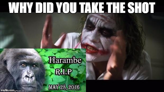 And everybody loses their minds | WHY DID YOU TAKE THE SHOT | image tagged in memes,and everybody loses their minds | made w/ Imgflip meme maker