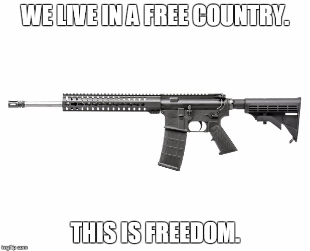 cmmgmk4t | WE LIVE IN A FREE COUNTRY. THIS IS FREEDOM. | image tagged in cmmgmk4t | made w/ Imgflip meme maker