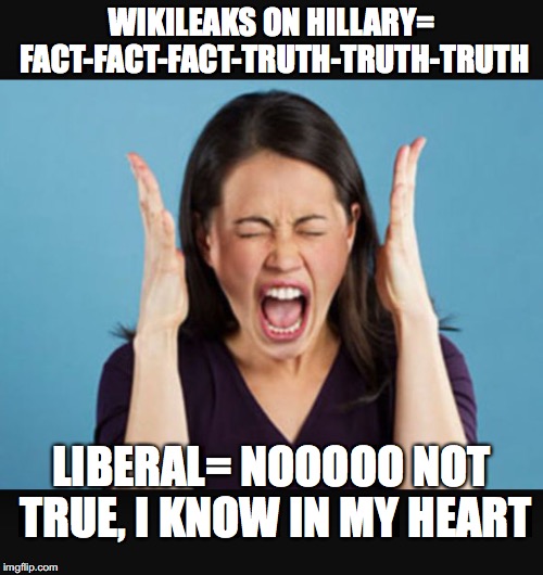 Screaming Woman | WIKILEAKS ON HILLARY= FACT-FACT-FACT-TRUTH-TRUTH-TRUTH; LIBERAL= NOOOOO NOT TRUE, I KNOW IN MY HEART | image tagged in screaming woman | made w/ Imgflip meme maker