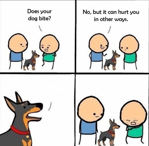 how long does a dog bite hurt