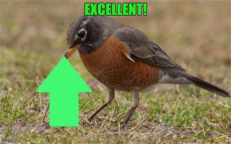 EXCELLENT! | made w/ Imgflip meme maker