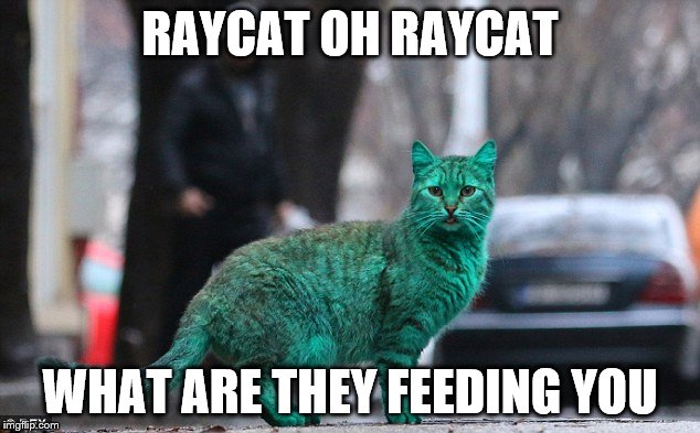 RAYCAT OH RAYCAT WHAT ARE THEY FEEDING YOU | made w/ Imgflip meme maker
