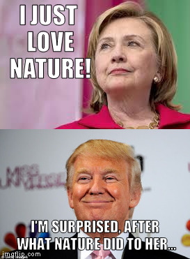 Trump disses Hillary | I JUST LOVE NATURE! I'M SURPRISED, AFTER WHAT NATURE DID TO HER... | image tagged in trump disses hillary | made w/ Imgflip meme maker