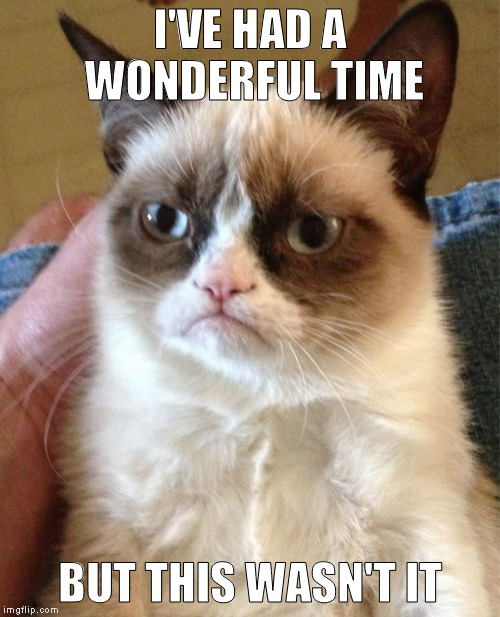 Grumpy Cat | I'VE HAD A WONDERFUL TIME; BUT THIS WASN'T IT | image tagged in memes,grumpy cat | made w/ Imgflip meme maker