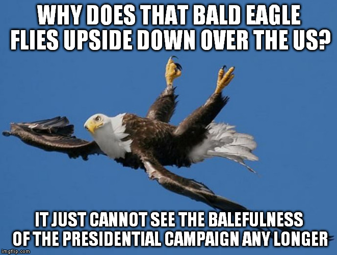 Even the National Bird has enough | WHY DOES THAT BALD EAGLE FLIES UPSIDE DOWN OVER THE US? IT JUST CANNOT SEE THE BALEFULNESS OF THE PRESIDENTIAL CAMPAIGN ANY LONGER | image tagged in even the national bird has enough | made w/ Imgflip meme maker