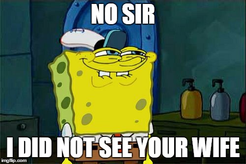 Don't You Squidward | NO SIR; I DID NOT SEE YOUR WIFE | image tagged in memes,dont you squidward | made w/ Imgflip meme maker