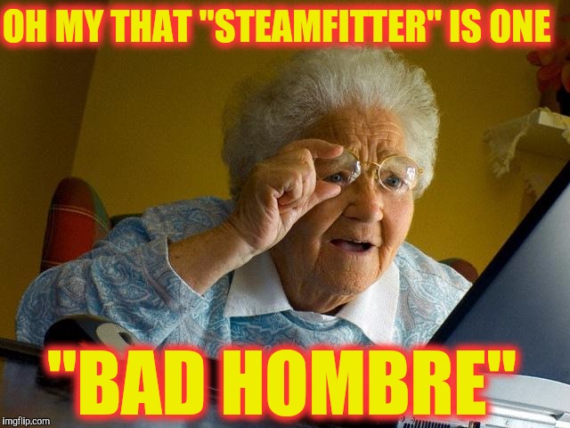 Grandma Finds The Internet Meme | OH MY THAT "STEAMFITTER" IS ONE; "BAD HOMBRE" | image tagged in memes,grandma finds the internet | made w/ Imgflip meme maker