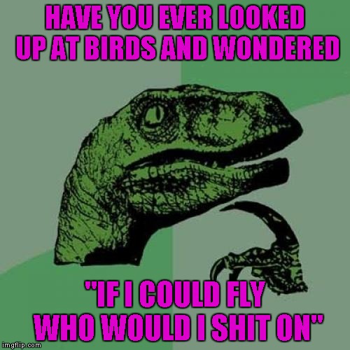 I would settle for just being able to fly...shitting on people would be a BONUS!!! | HAVE YOU EVER LOOKED UP AT BIRDS AND WONDERED; "IF I COULD FLY WHO WOULD I SHIT ON" | image tagged in memes,philosoraptor | made w/ Imgflip meme maker